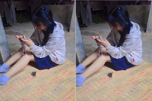sex gay free Sex nữ sinh sang nhà bạn chơi bị đè ra vét máng